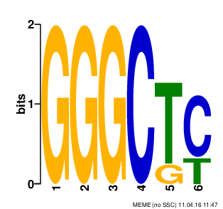 GTF3C2_GTF3C2_10_H